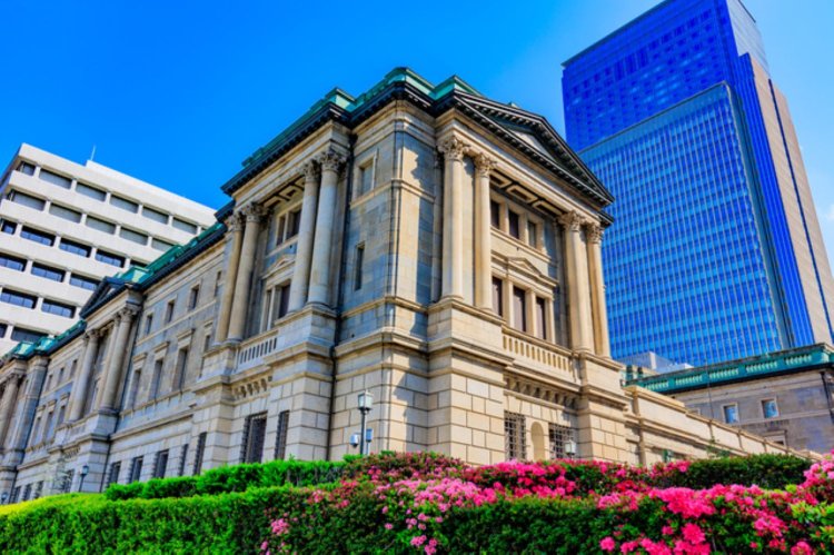 写真提供＝PIXTA。