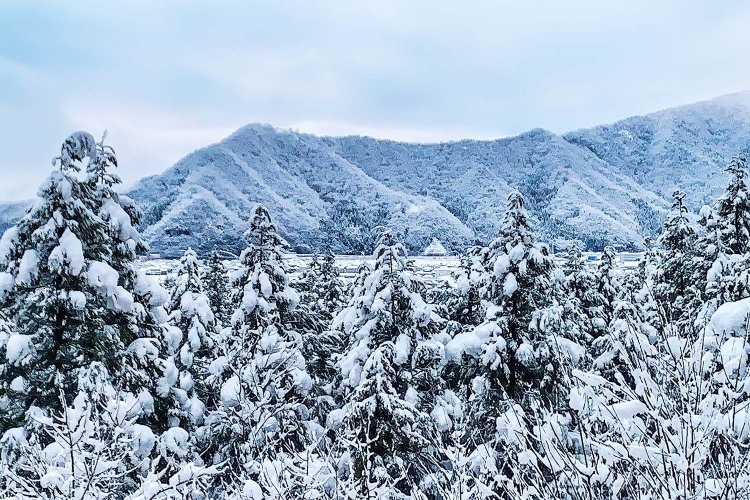 紫式部は、藤原宣孝をどう思っていたのか？ 『紫式部集』に収録されている、越前で詠まれた歌から読み解く