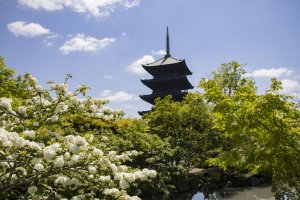 東寺 (2)