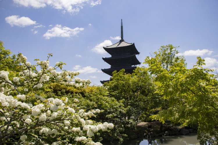 五重塔をはじめ、国宝や国の重要文化財の建造物が点在。