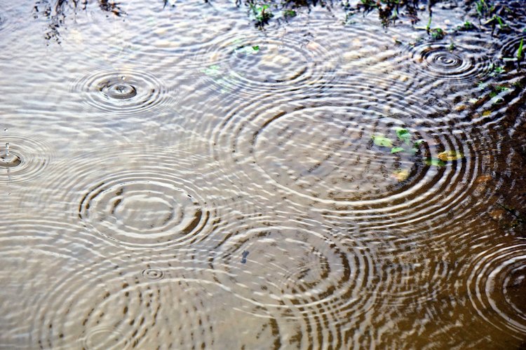 水たまりが広がる様子を眺めるのも風流だ（出典＝写真AC）。