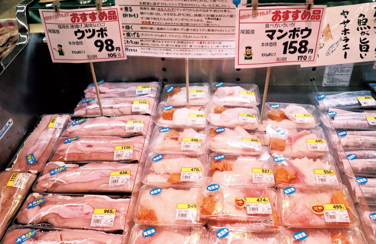 尾鷲産のウツボとマンボウ。マンボウは定置網に偶然かかったときにのみ販売する。