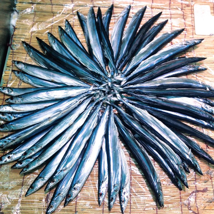 冬の風物詩として登場する尾鷲名物「さんまの丸干し」。