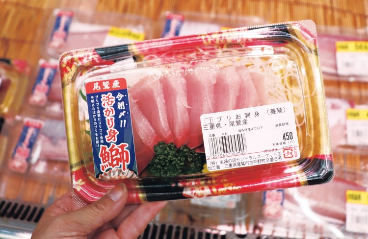 プリプリ、コリコリ食感。尾鷲産、朝締めのブリの刺し身。