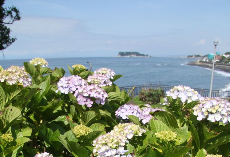 稲村ケ崎公園_1