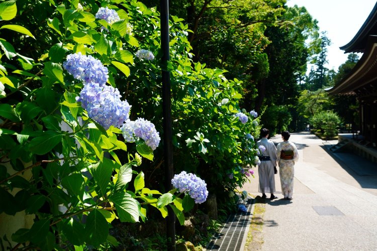 写真提供＝円覚寺。