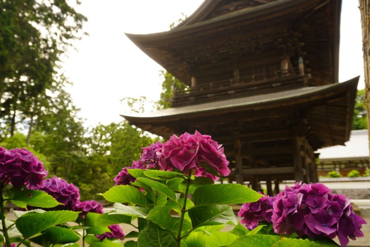 写真提供＝円覚寺。