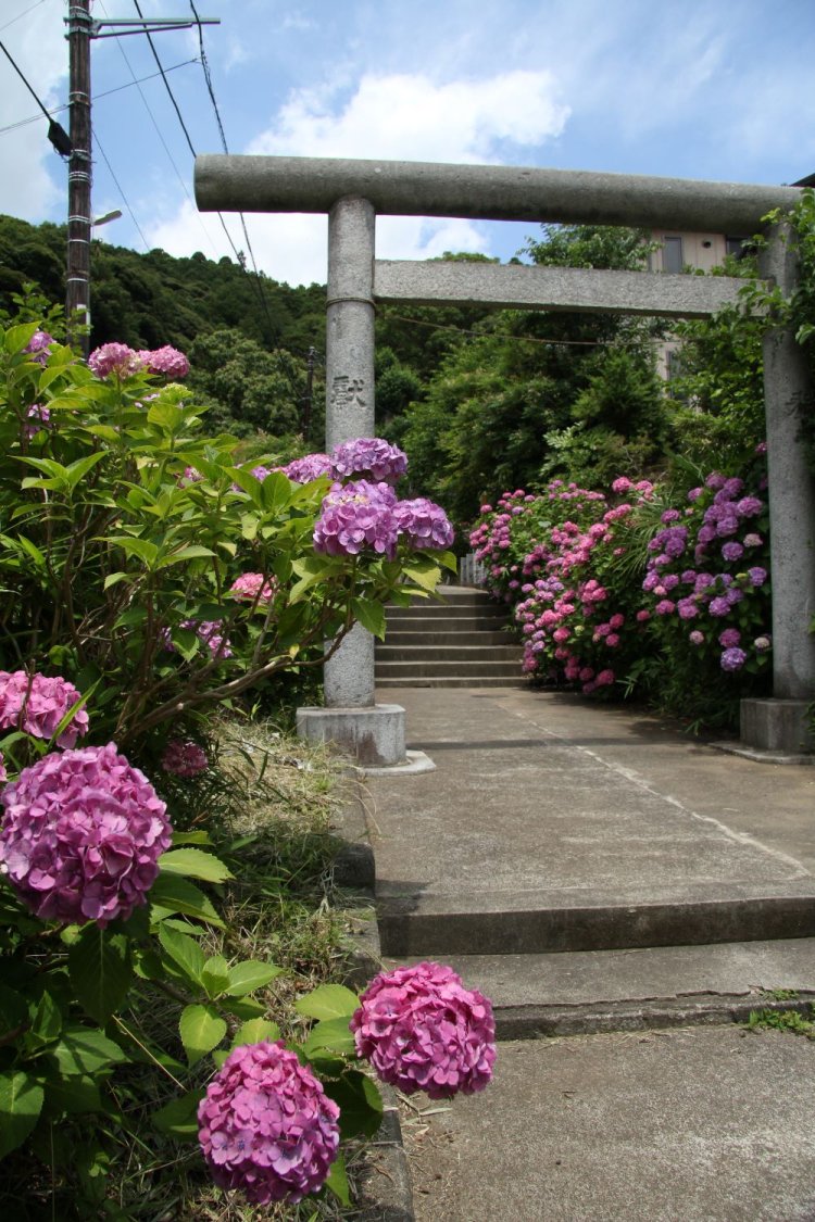 白山神社