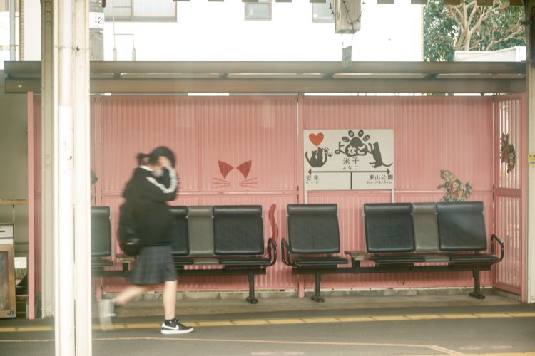 よにゃご駅長「どんちゃん」が就任する米子駅。ベンチにはフォトスポットも。