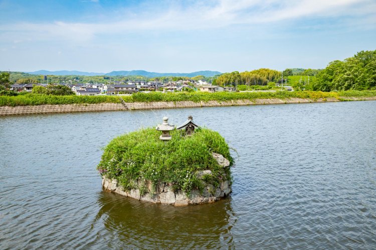 岡山県総社市岡谷の大池に浮かぶ、丸い島。