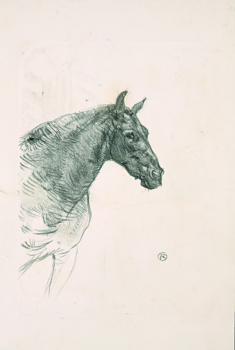 アンリ・ド・トゥールーズ=ロートレック　《ポニーのフィリベール》 1898年 56.0×36.0㎝ リトグラフ。