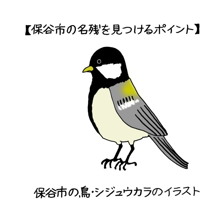 西東京市で、保谷市の名残を見つける旅