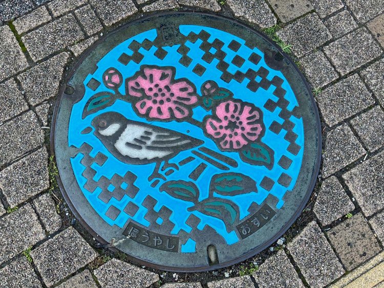 保谷市の鳥・花であるシジュウカラとサザンカがあしらわれている。こちらのカラーマンホールは保谷駅から徒歩5分、あらやしき公園近くの路上に設置。