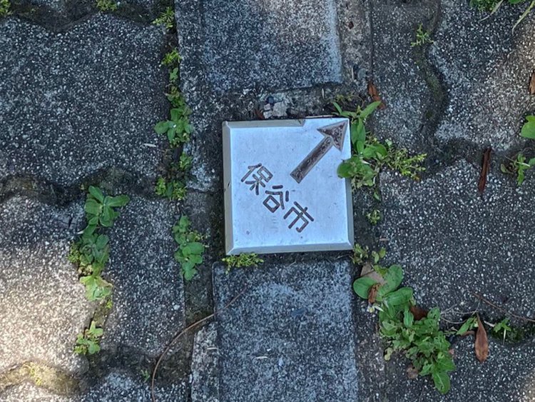 土地の境界を示す金属プレートにも保谷市。