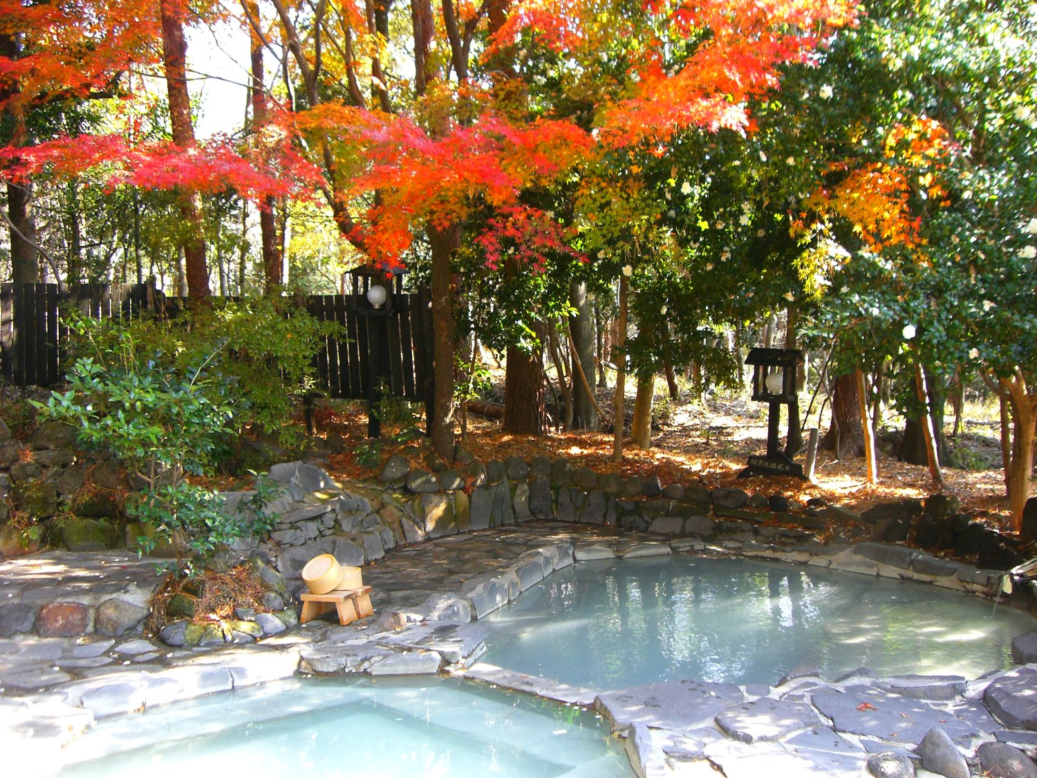 「赤松の湯」は360度さえぎるもののない、赤松林の中の貸切風呂。湯気の影響で、紅葉の見頃は11月中旬〜12月初旬と遅い。