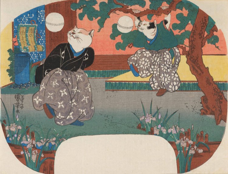 「猫の曲まり」 （ねこのきょくまり）。後期展示。