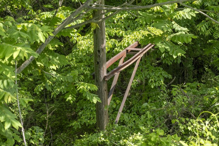 木々の合間から顔をのぞかせた架線柱。柱は木製である。甲府～上諏訪間の電化は1964年のことで、そのときから残る架線柱かと思われる。