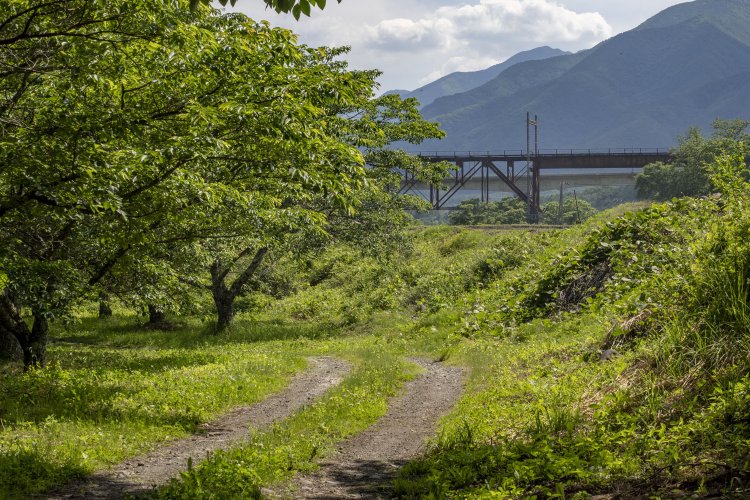 立場川のほとりで旧橋梁を見る。ここからでも絵になる。背後のコンクリート橋が現行の立場川橋梁。