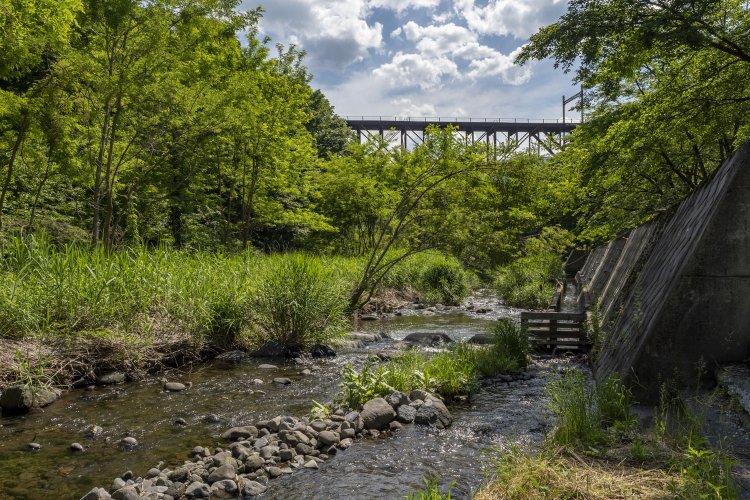 立場川から見た旧橋梁。