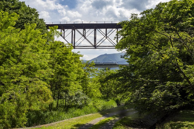 川沿いを歩いていると、木々からボルチモアトラスの分格トラスがシルエットとなって宙に浮いていた。背後で特急「あずさ」が通過していった。