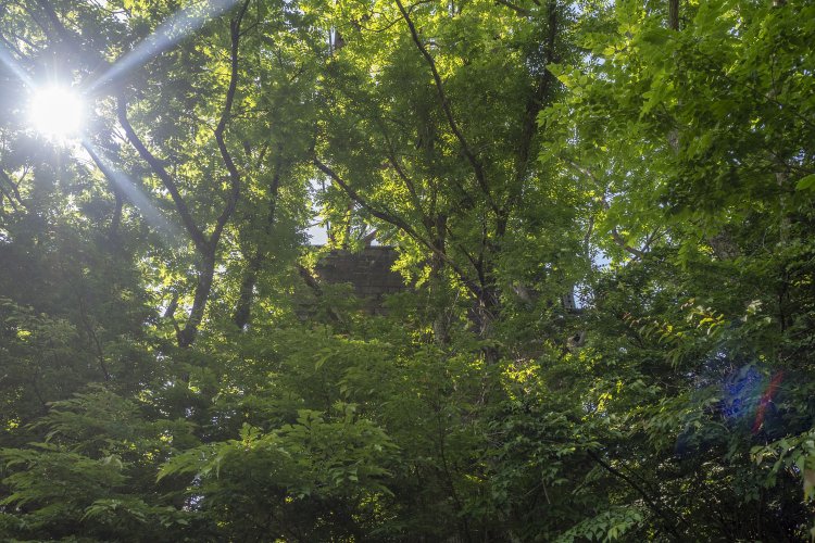 トラスを支える石積みの橋脚は木々に埋もれて見えなくなっていた。