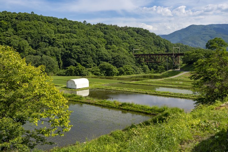 水鏡となった田んぼと「ボルチモアトラス」。いやぁ、絵になる。EF15かEF64、181系あさま、165系が似合う光景だ。