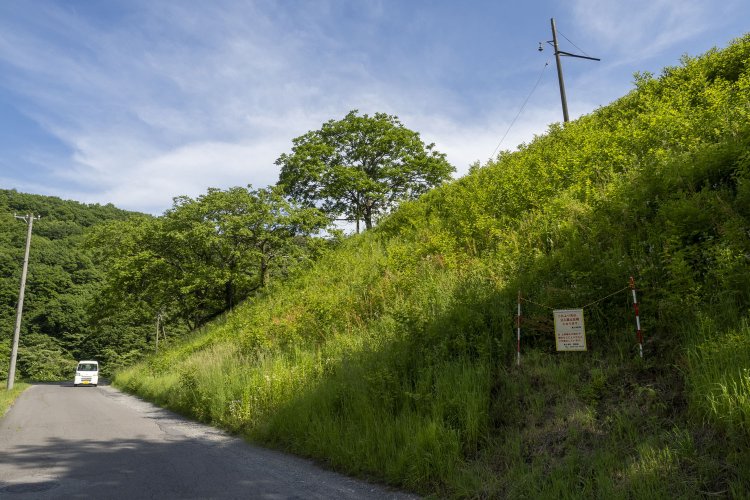20ｍはあるかと思える築堤は現在立入禁止である。下の道路からでも架線柱が見える。