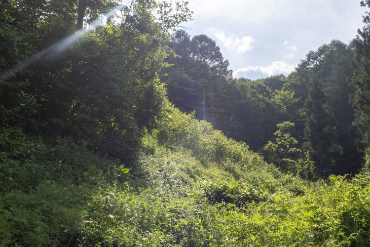 築堤の下から瀬澤トンネル方向を見る。山影のあたりにトンネルがある。