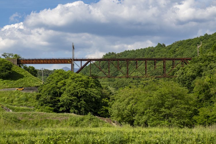 南側から。線路が上にあるから上路式。上弦材と下弦材が平行のボルチモアトラスは斜材から短い部材が分かれる分格トラス。横から見ると小さな三角形がいくつも形成されている。複雑なトラス橋である。