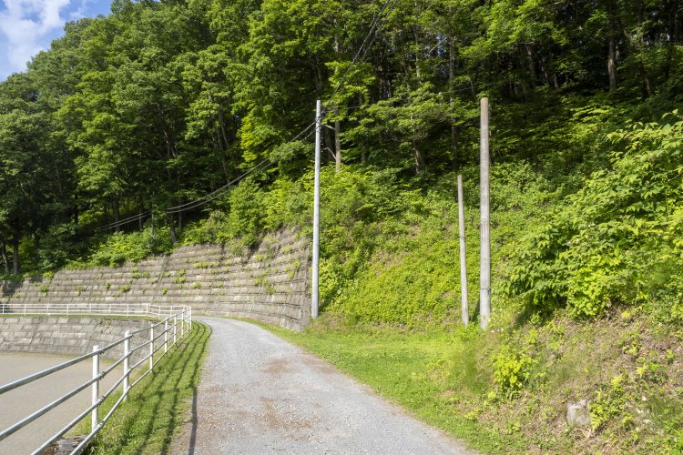 運動場脇の小径を歩いていると、何か異変を感じた。右手に何かが見える。あの2本の棒……。