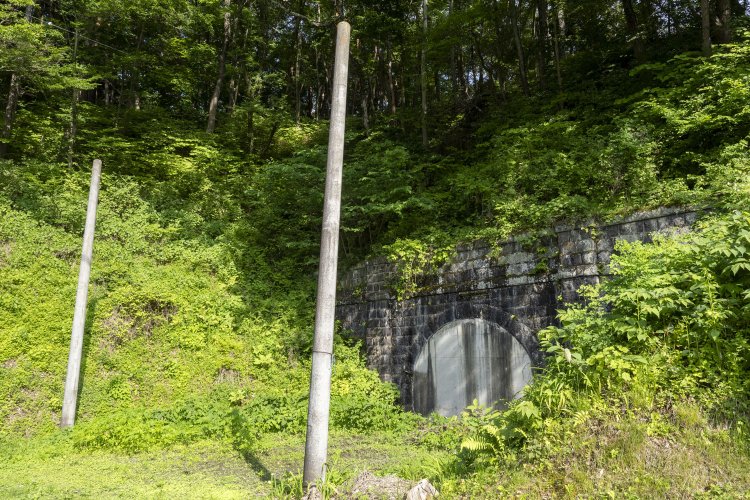 2本の棒は架線柱の成れの果て。何も知らなければ「なにこれ……」物件である。乙事トンネルの東側は埋められて閉塞している。