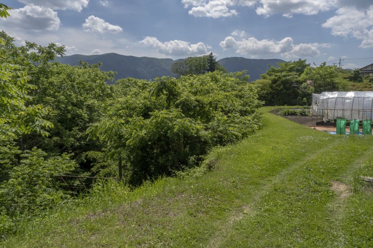 掘割の旧線。写真奥のほうに現行線路との合流地点がある。掘割は木々で覆われていたが架線柱がチラッと見えた。