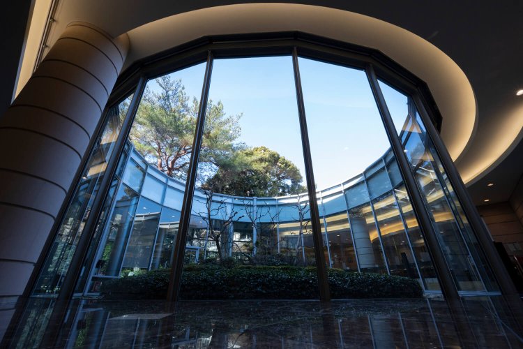 中庭にはかつて樹齢100年のサルスベリがあった。現在は2代目。