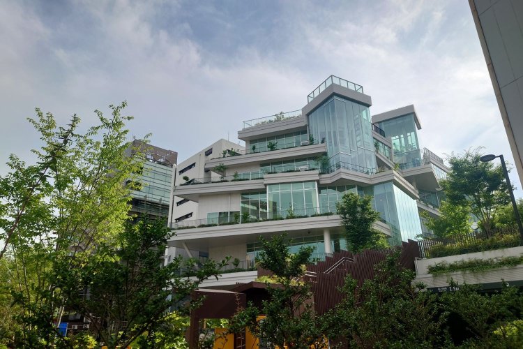 『本の森ちゅうおう』。