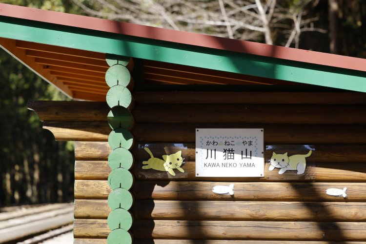 小さな茶畑と集落の奥にある川根小山駅。「かわねこやま」の読み仮名から「ねこの駅」に？　大鉄ではこうしたユニークな仕掛けがいたるところに見られるので探してみて！