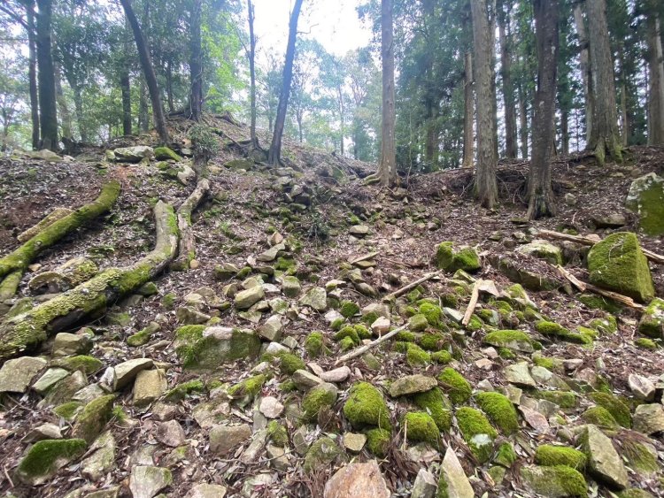 山城である吉田郡山城。険しい道のりじゃ。