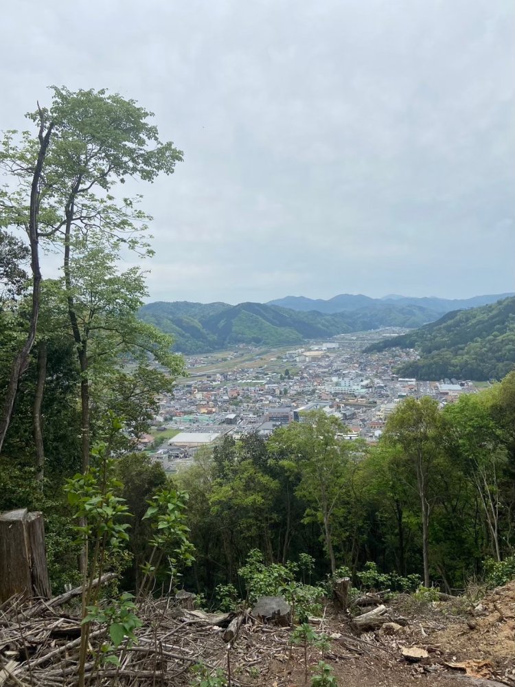 城下町が一望できる。
