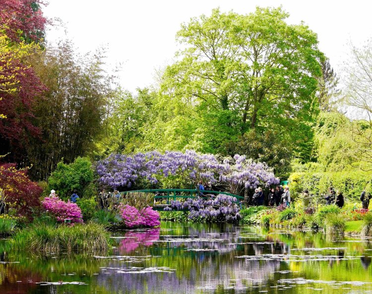 モネがつくった『睡蓮』の庭ってどんなところ？ 印象派150周年の2024年、フランス・ジヴェルニーのモネの家へ！