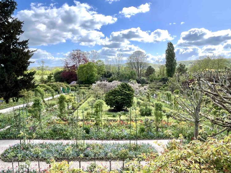 家の窓から見た庭。