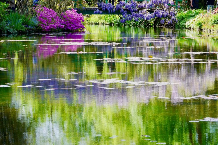 モネが造った池の水面。彼の作品のように見える？