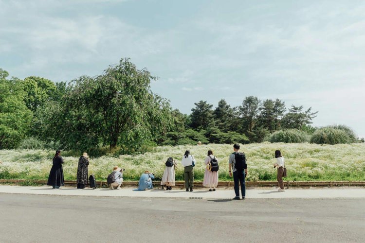 【camell】ソフトフィルター「Allure Soft」