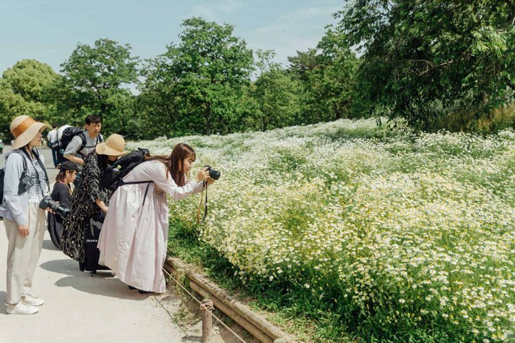 【camell】ソフトフィルター「Allure Soft」