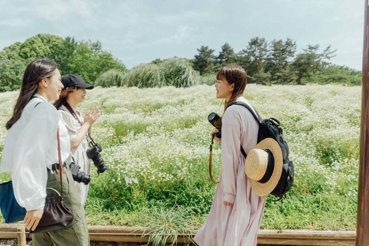 【camell】ソフトフィルター「Allure Soft」