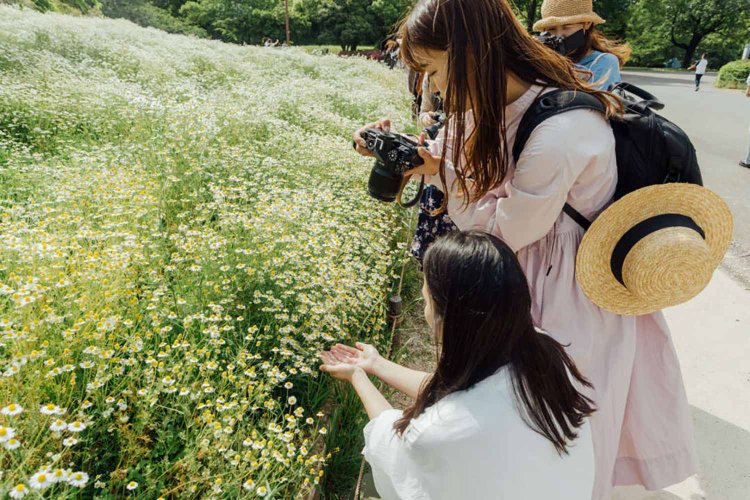 【camell】ソフトフィルター「Allure Soft」