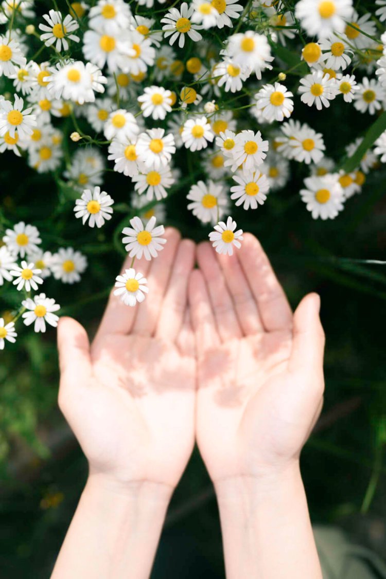 photo by 小春ハルカ。