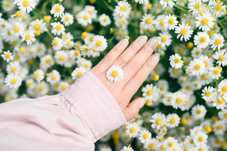 photo by 小春ハルカ。