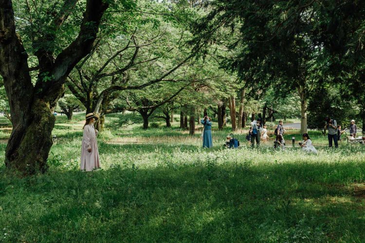 【camell】ソフトフィルター「Allure Soft」