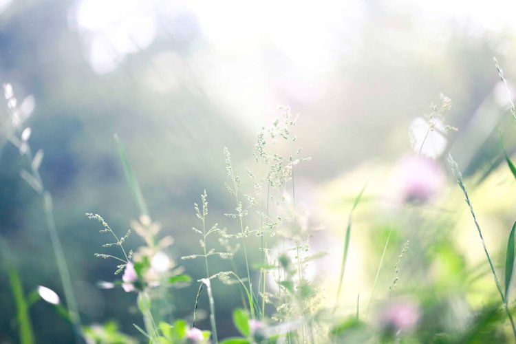 photo by 小春ハルカ。