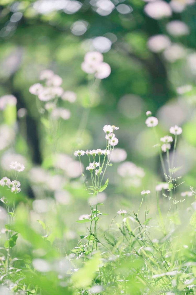 photo by 小春ハルカ。