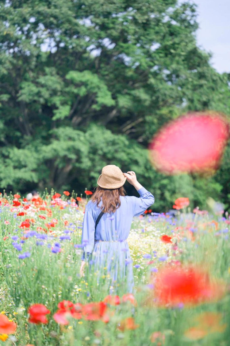 photo by 小春ハルカ。